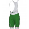 Green Project-Bardiani Csf-Faizane' 2023 set (jersey lange rits+broek)-ALE professionele wielerploeg