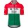 Heren Team Visma Lease a Bike 2025 Shirt - Hongaars Kampioen