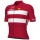 Heren Fietskleding Ale Deens elftal 2025 shirt
