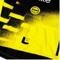 Heren Team Visma Lease a Bike 2025 The Wingbeat Shirt