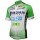 2016 BARDIANI CSF Wielershirt Korte Mouw