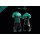 Vital Concept 2018 Fietskleding Set Fietsshirt Korte Mouwen+Koersbroek Kort Bib