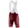 2018 Katusha Alpecin Korte Fietsbroeken Bib